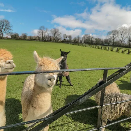 بيت للعطل Erica's 'eaven Gillamoor