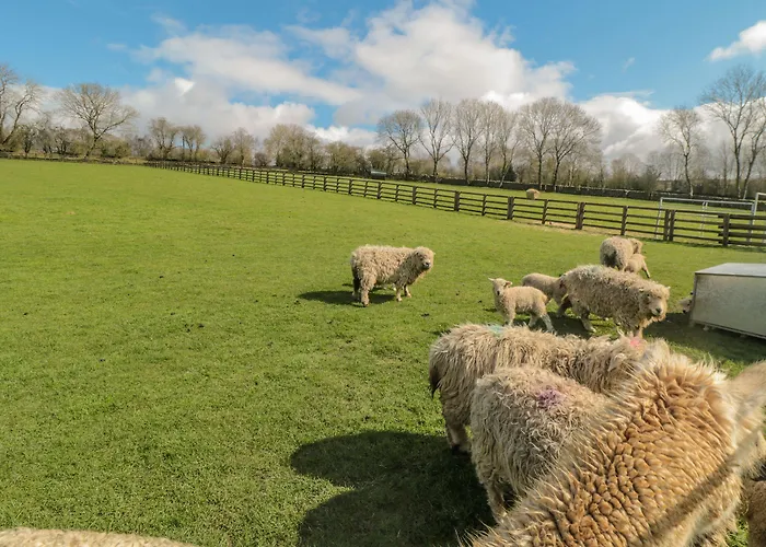 Erica's 'eaven Casa vacanze *