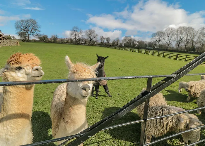 Casa vacanze Erica's 'eaven Gillamoor