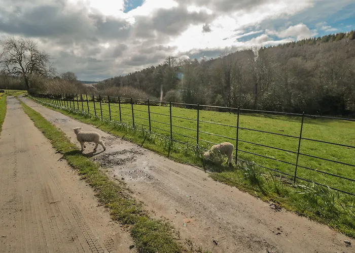 Erica's 'eaven Casa vacanze *